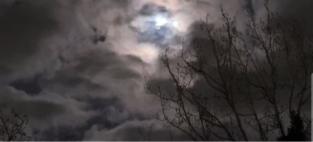 Night Sky 2
